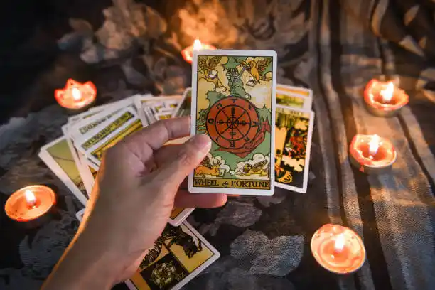 tarot cards Woodlawn